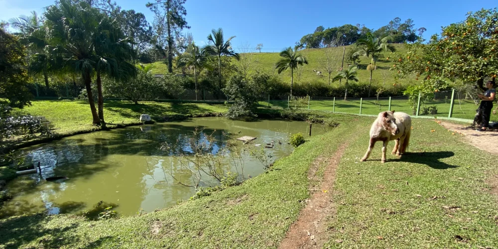 sitio_itajai_bairro_paciencia (27)-convertido-de-jpg