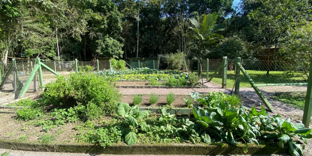 sitio_itajai_bairro_paciencia (28)-convertido-de-jpg